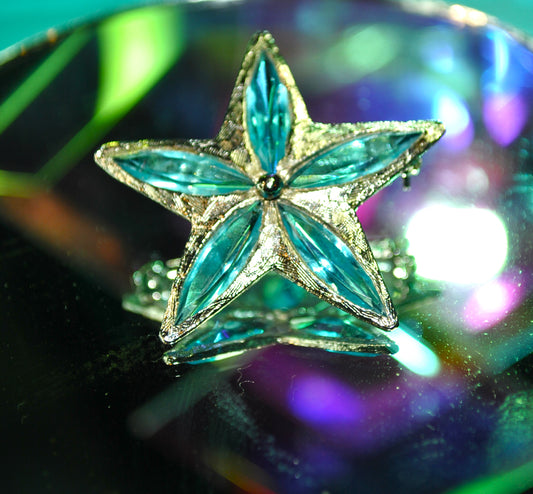 S.H.P.  Blue Star Brooch Vintage